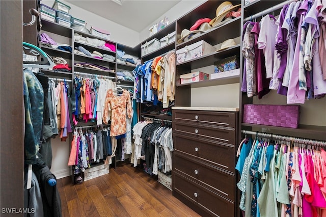 spacious closet featuring dark hardwood / wood-style flooring