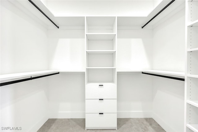 view of walk in closet