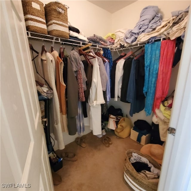 walk in closet featuring carpet flooring