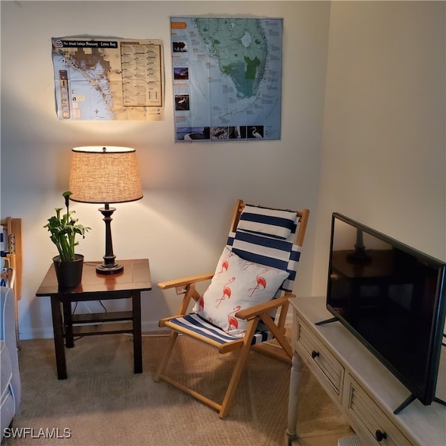 living area with light carpet