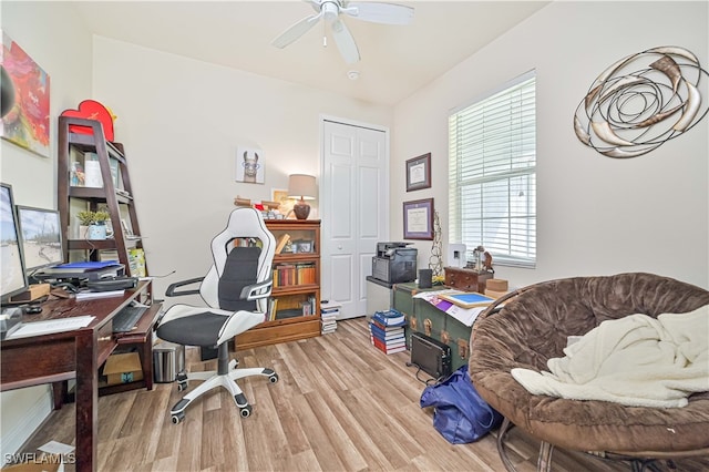 office space with ceiling fan and light hardwood / wood-style flooring