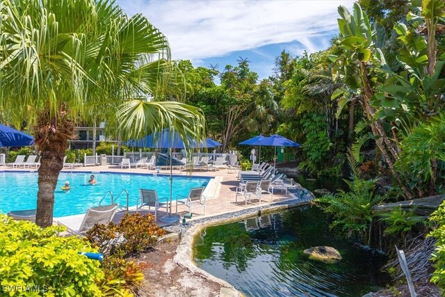 view of swimming pool with a patio area