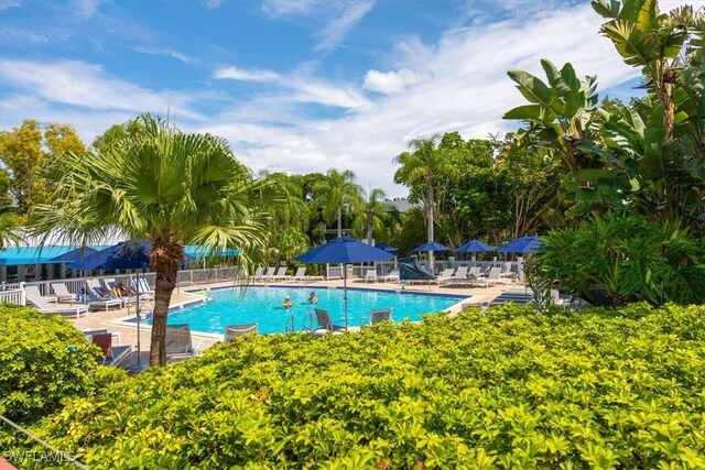 view of swimming pool featuring a patio area