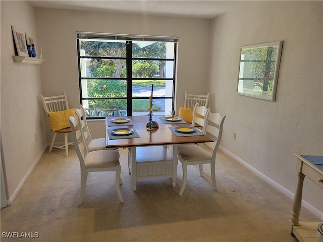 carpeted dining area with plenty of natural light