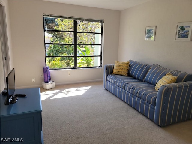 living room with carpet flooring