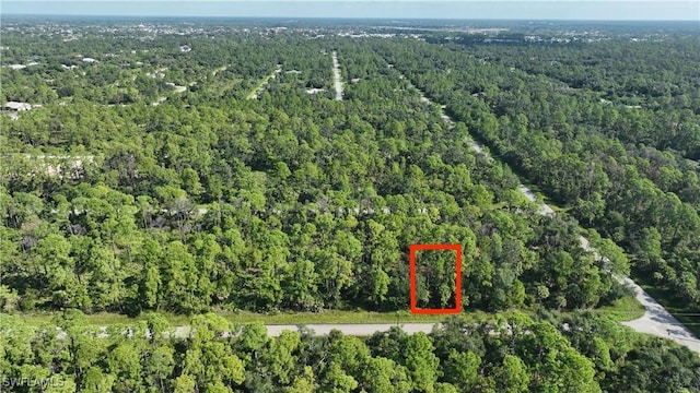 13172 Woolard Ave, Port Charlotte, FL 33953