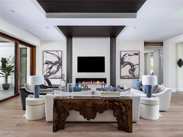 living room with light hardwood / wood-style floors and a raised ceiling