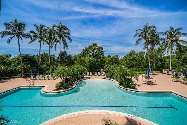 view of swimming pool