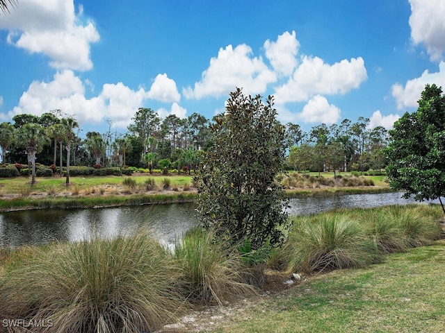 view of water feature