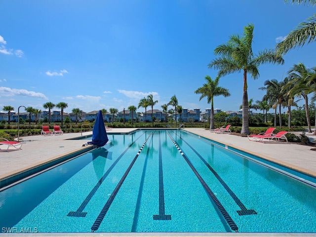 view of swimming pool featuring a patio