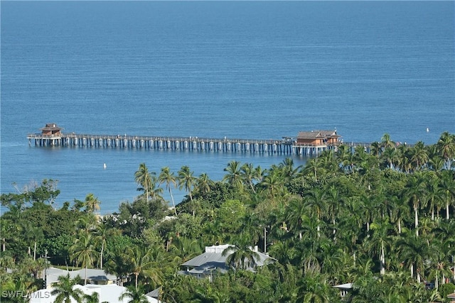 271 8th Ave S Unit 271, Naples, FL 34102 - water view