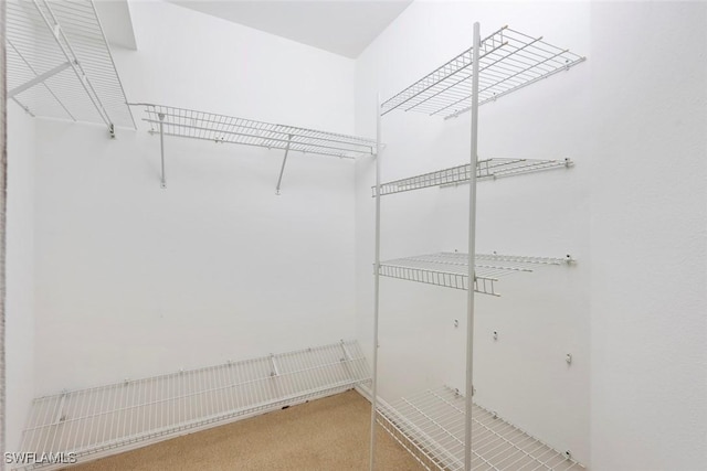 28710 Bermuda Bay Way Unit 104, Bonita Springs, FL 34134 - spacious closet featuring carpet floors