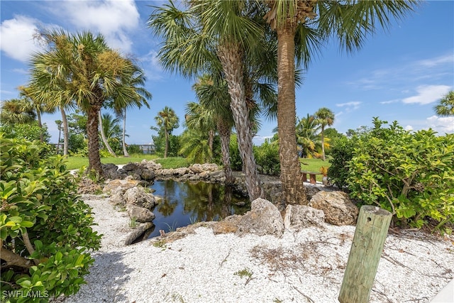 view of local wilderness with a water view