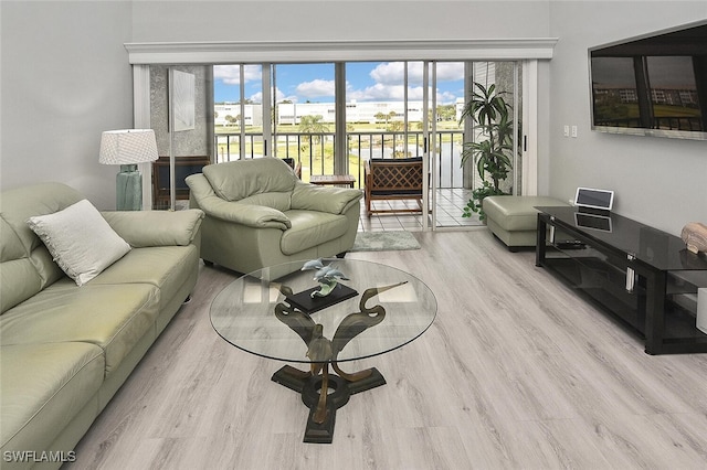 living room with light hardwood / wood-style floors