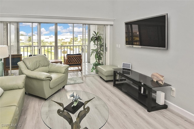 living room with wood-type flooring