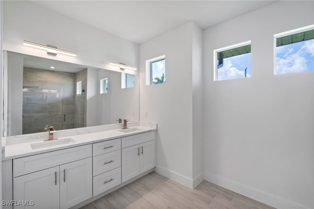 bathroom with wood-type flooring, vanity, a shower with shower door, and a healthy amount of sunlight