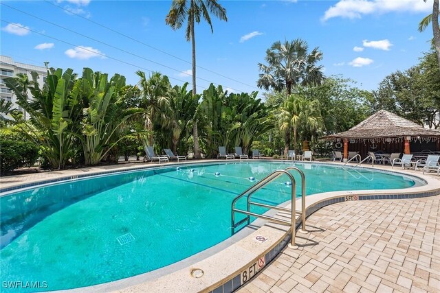 view of pool with a patio