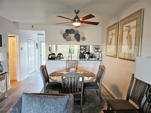 dining room featuring ceiling fan, sink, and hardwood / wood-style floors