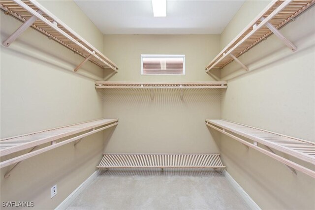 spacious closet featuring light colored carpet