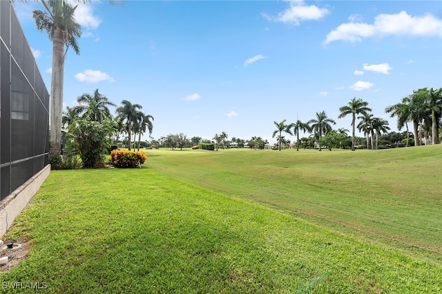 view of yard with a lanai