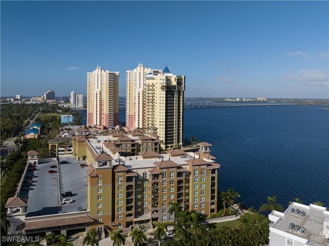 aerial view with a water view