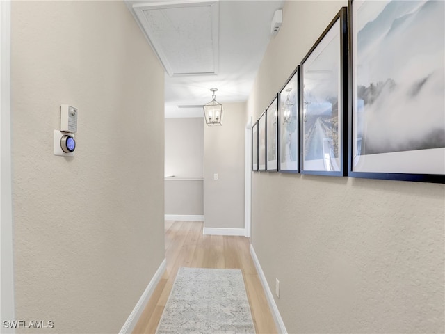 hallway with light hardwood / wood-style flooring