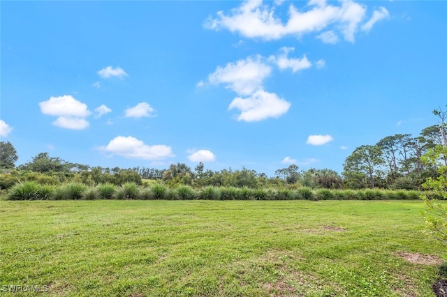 view of yard with a rural view