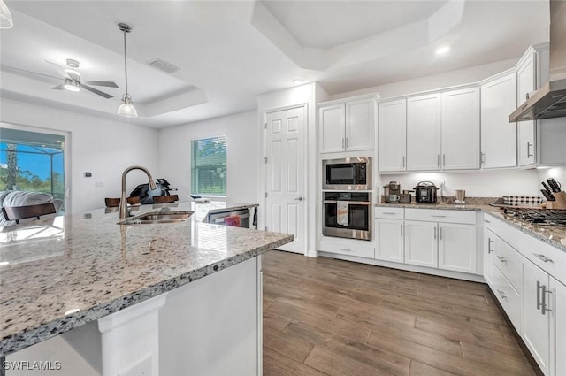 kitchen with a raised ceiling, stainless steel appliances, a sink, wall chimney range hood, and plenty of natural light