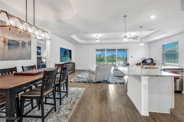 dining area with a tray ceiling, a ceiling fan, and dark wood finished floors