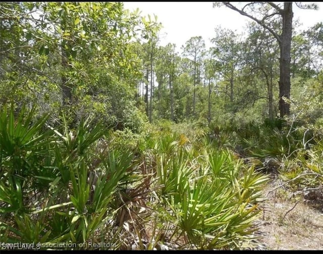 Sebring FL, 33875 land for sale