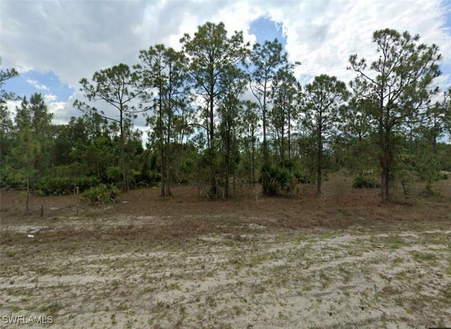 844 Homestead Rd S, Lehigh Acres FL, 33974 land for sale