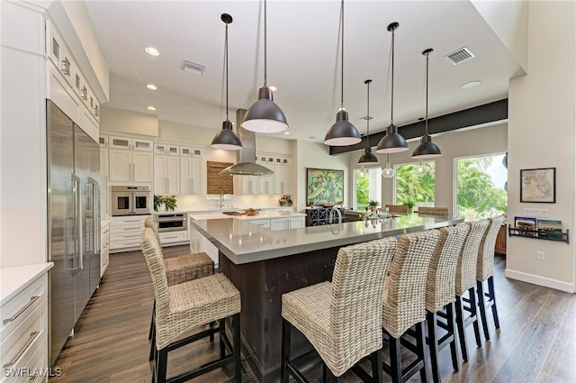 kitchen featuring white cabinets, a large island, decorative light fixtures, dark wood-type flooring, and stainless steel appliances