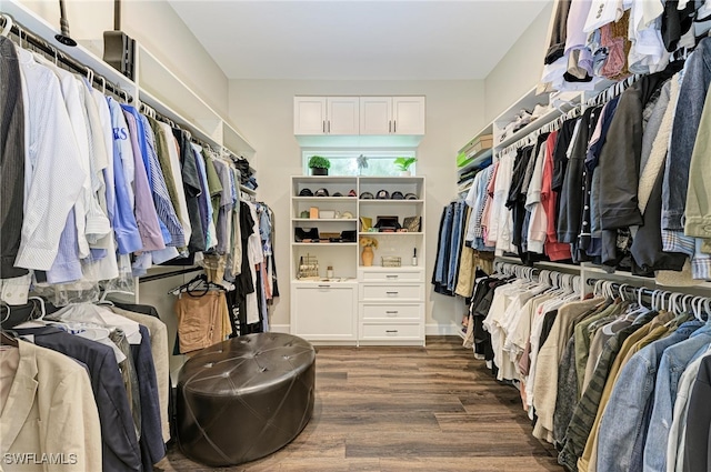 spacious closet with dark hardwood / wood-style floors