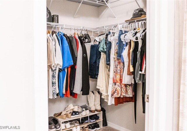 view of spacious closet