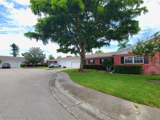 ranch-style house featuring a front yard