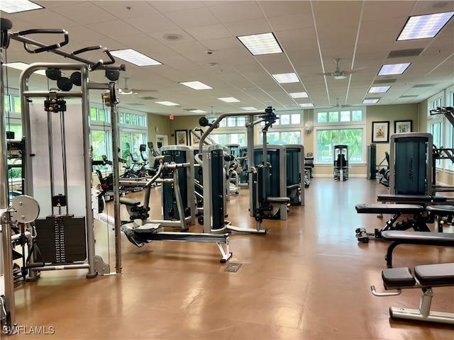 workout area with a paneled ceiling and a wealth of natural light