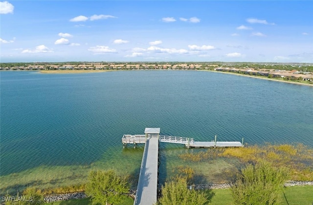 water view featuring a boat dock