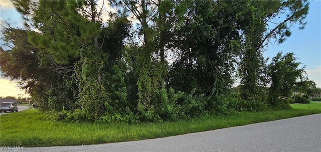 133 Valdiva St, Punta Gorda FL, 33983 land for sale