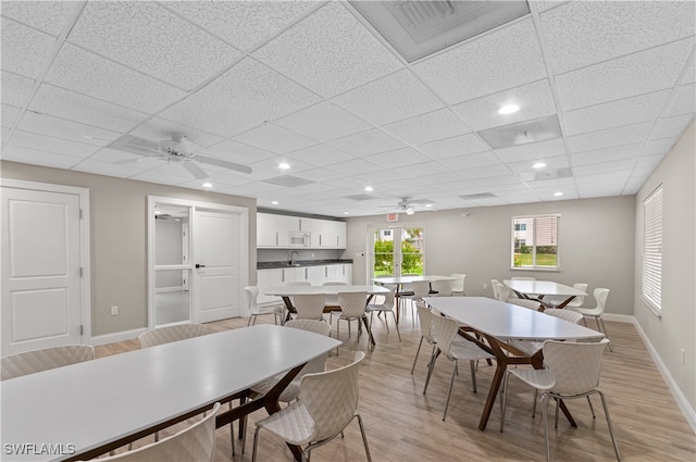 dining room featuring ceiling fan, light wood-type flooring, a paneled ceiling, and sink