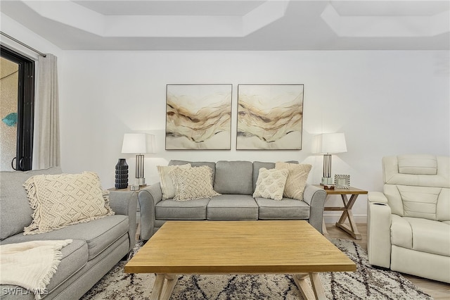 living room with hardwood / wood-style floors and a raised ceiling