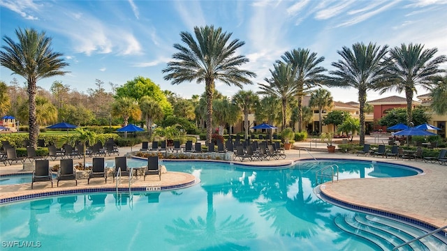 view of pool with a patio