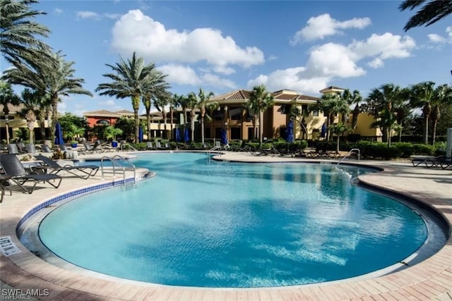 view of pool featuring a patio area