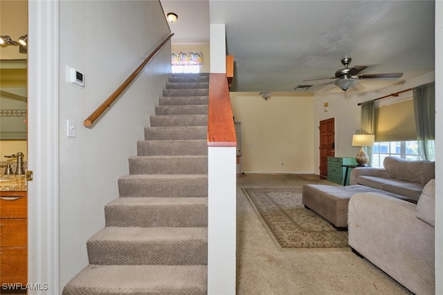 stairway with ceiling fan, carpet floors, a healthy amount of sunlight, and sink