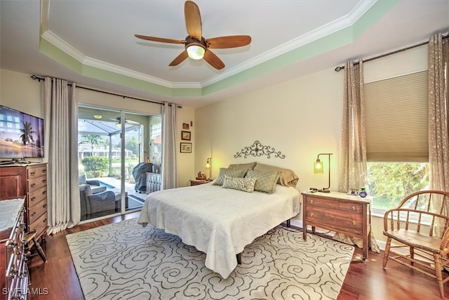 bedroom with multiple windows and a tray ceiling