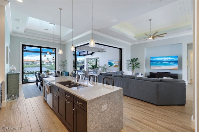 kitchen with a tray ceiling, a wealth of natural light, and ceiling fan