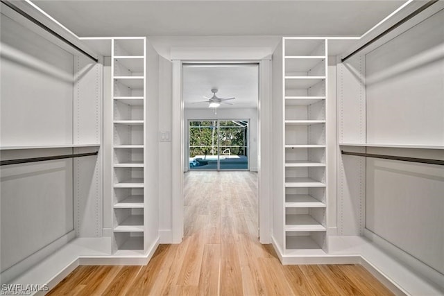 spacious closet with wood-type flooring and ceiling fan