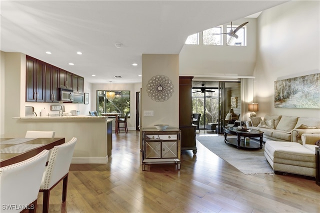 living room featuring ceiling fan, light hardwood / wood-style flooring, and a wealth of natural light