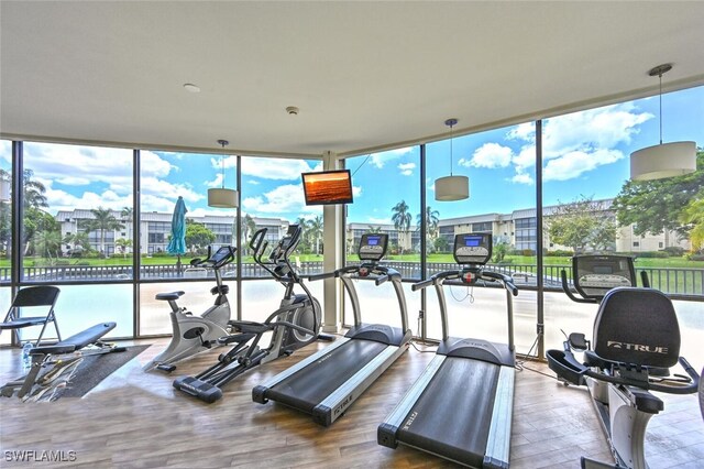 workout area featuring a wall of windows, a healthy amount of sunlight, and wood-type flooring