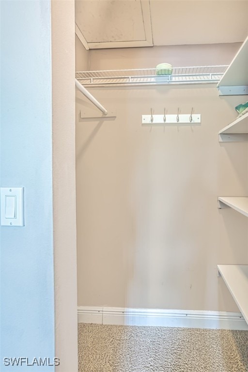 view of spacious closet