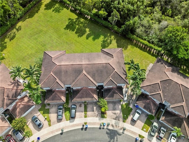 bird's eye view